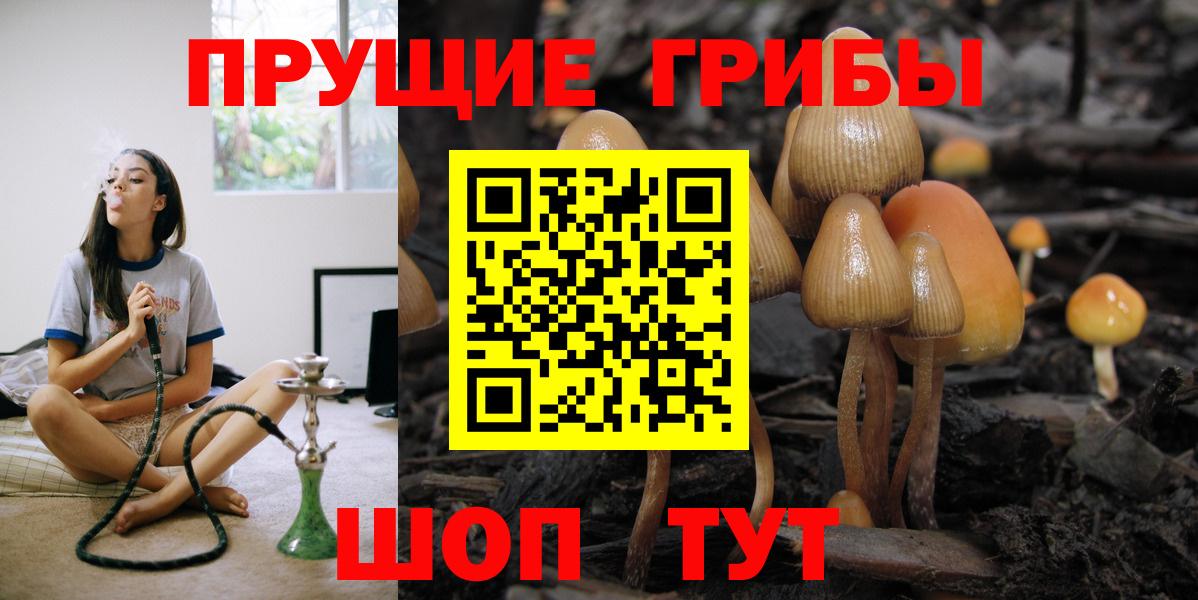 Псилоцибиновые грибы GOLDEN TEACHER Карасук
