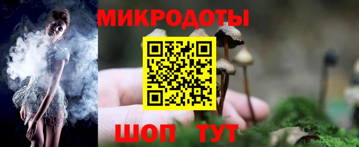 Псилоцибиновые грибы Psilocybine cubensis  Псилоцибиновые грибы мицелий  купить   Карасук  Вход с VPN 